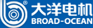 大洋電機(jī)